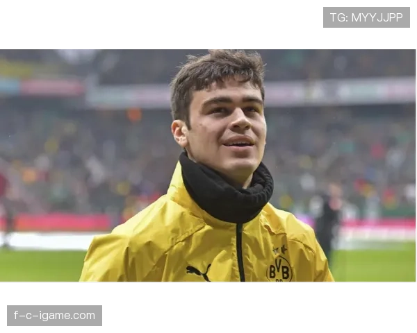 德甲租借潮涌，新星外租寻突破，未来表现引期待